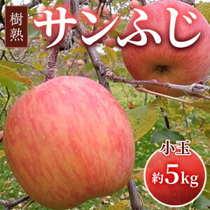 【ふるさと納税】【早期予約】りんご 加積りんご 樹熟サンふじ小玉 約5kg|ふじ 魚津市産 富山 リンゴ 林檎 くだもの 果物 フルーツ デザート 産地直送 富山県 ※北海道・沖縄・離島への配送不可 ※2025年12月上旬~2026年2月上旬頃に順次発送予定