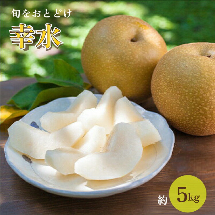 【ふるさと納税】中島果樹園の梨「幸水」約5kg 富山県