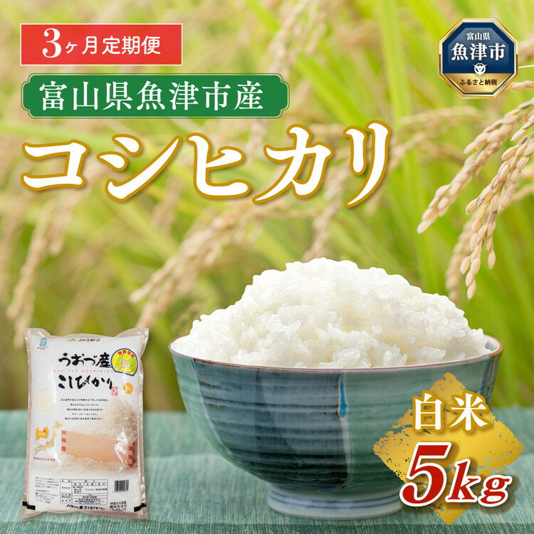 【ふるさと納税】5kg×3ヶ月定期便　富山県うおづ産米コシヒカリ 白米 富山米　【定期便・お米・コシヒカリ】