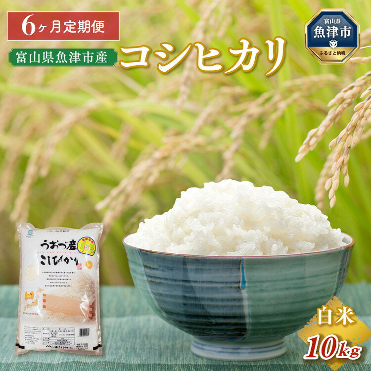 北アルプスの清らかな雪解け水で育った魚津産米。炊き上がりはふっくらつやつや。かめばかむほどにお米の甘みと香りがお口いっぱいに広がります。富山の大自然の味をぜひご賞味下さい。富山県のコシヒカリは一般財団法人日本穀物検定協会の令和元年度産米の食味ランキングにおいてA評価を得ました（※商品そのものの評価ではありません）品質管理のため、冷蔵庫で保管してします。 名称精米内容量富山県魚津産　コシヒカリ　白米10kg（5kg×2袋）6ヶ月連続お届け産地富山県品種／産年／使用割合コシヒカリ/表示面下部記載/100％精米時期表示面下部記載販売者魚津市農業協同組合　富山県魚津市釈迦堂1-14-17事業者魚津市農業協同組合配送方法常温配送備考※画像はイメージです。※北海道・沖縄・離島への配送不可 ※寄付入金確認後、翌月から6ヶ月連続でお届けします。 ・ふるさと納税よくある質問はこちら ・寄附申込みのキャンセル、返礼品の変更・返品はできません。あらかじめご了承ください。定期便 米 10kg (5kg×2袋) 6ヶ月 コシヒカリ 富山 魚津産 こめ コメ お米 おこめ 白米 精米 6回 お楽しみ 寄附金の用途について 市長におまかせ（とくに指定がない場合） 子育て支援 子どもたちの学びの場の充実 自然・環境保全 観光振興や地域の活性化 健康・福祉 スポーツや文化の振興 災害対策支援 受領証明書及びワンストップ特例申請書のお届けについて 入金確認後、注文内容確認画面の【注文者情報】に記載の住所にお送りいたします。 発送の時期は、入金確認後1～2週間程度を目途に、お礼の特産品とは別にお送りいたします。 ■　ワンストップ特例について ワンストップ特例をご利用される場合、1月10日までに申請書が当庁まで届くように発送ください。 マイナンバーに関する添付書類に漏れのないようご注意ください。