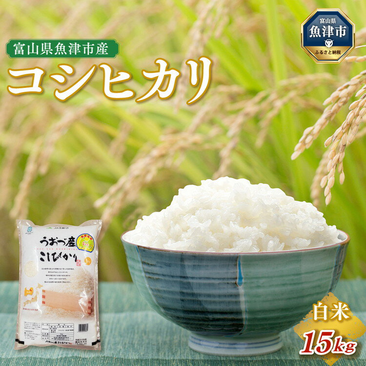 11位! 口コミ数「1件」評価「5」米 コシヒカリ 15kg (5kg×3袋) 富山 魚津産 こめ コメ お米 おこめ 白米 精米　【 こしひかり 】