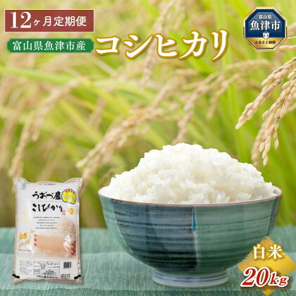 定期便 米 20kg (5kg×4袋) 12ヶ月 コシヒカリ 富山 魚津産 こめ コメ お米 おこめ 白米 精米 12回 お楽しみ　【定期便・ こしひかり 】