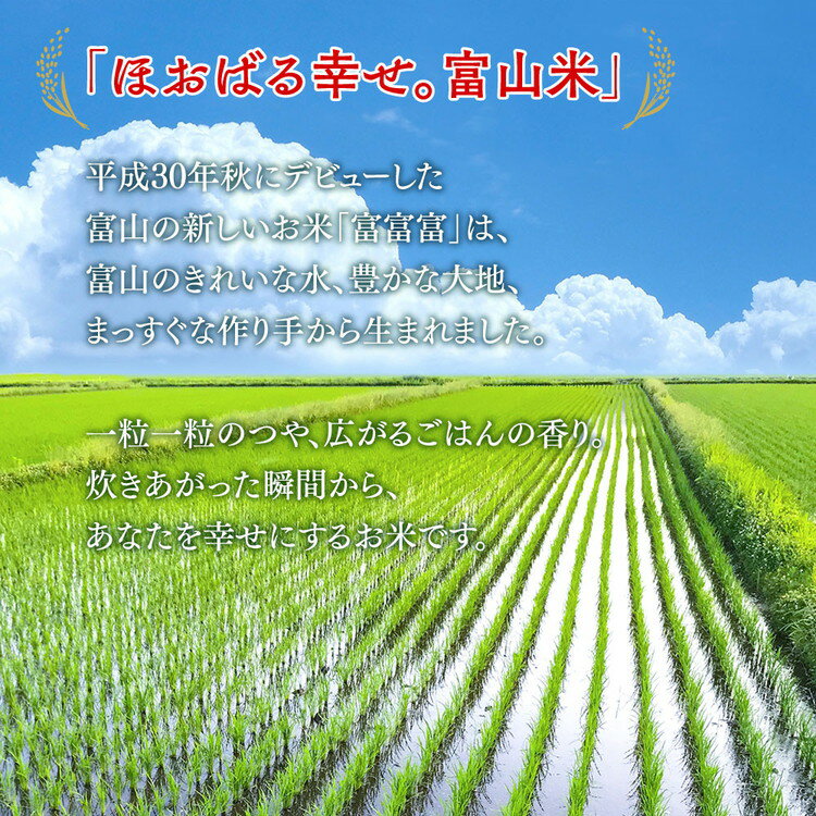 【ふるさと納税】定期便 米 5kg 12ヶ月 富富富 ふふふ 富山 こめ コメ お米 おこめ 白米 精米 12回 お楽しみ　【定期便・ ブランド米 】