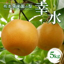 【ふるさと納税】【早期予約】布本果実園の梨「幸水」5kg ※北海道・沖縄・離島への配送不可 ※2025年8月下旬頃より順次発送予定