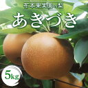 【ふるさと納税】【早期予約】布本果実園の梨「あきづき」5kg※北海道・沖縄・離島への配送不可 ※2025年9月下旬より順次発送予定
