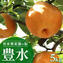 【ふるさと納税】【早期予約】布本果実園の梨「豊水」5kg※北海道・沖縄・離島への配送不可 ※2025年9月中旬~9月下旬頃より順次発送予定