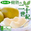 【ふるさと納税】魚津の梨「樹熟の二十世紀」約5kg(中玉)※北海道・沖縄・離島への配送不可 ※2025年9月中旬~9月下旬頃に順次発送予定