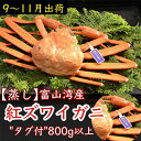 【ふるさと納税】【9-11月出荷】蒸し紅ズワイガニ 1杯(約800g以上) | 甲殻類 海の幸 海鮮 蒸し加工 水揚げ 後すぐ 旨味 凝縮 晩酌 お酒 お供 あて 肴 つまみ 富山県産 魚津市産 ※2025年9月下旬~11月下旬頃に順次発送予定 ※北海道・沖縄・離島への配送不可
