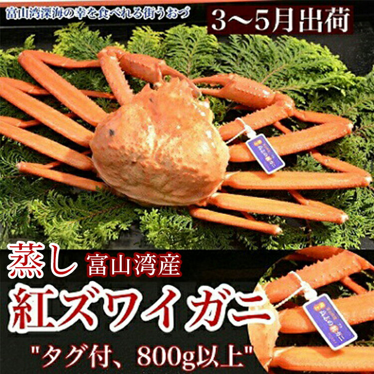16位! 口コミ数「2件」評価「1」【3-5月出荷】蒸し紅ズワイガニ　1匹（約800g以上） ｜ ずわい蟹 ずわいガニ ズワイガニ ※2026年3月上旬～5月下旬頃に順次発送予定 ※北海道・沖縄・離島への配送不可