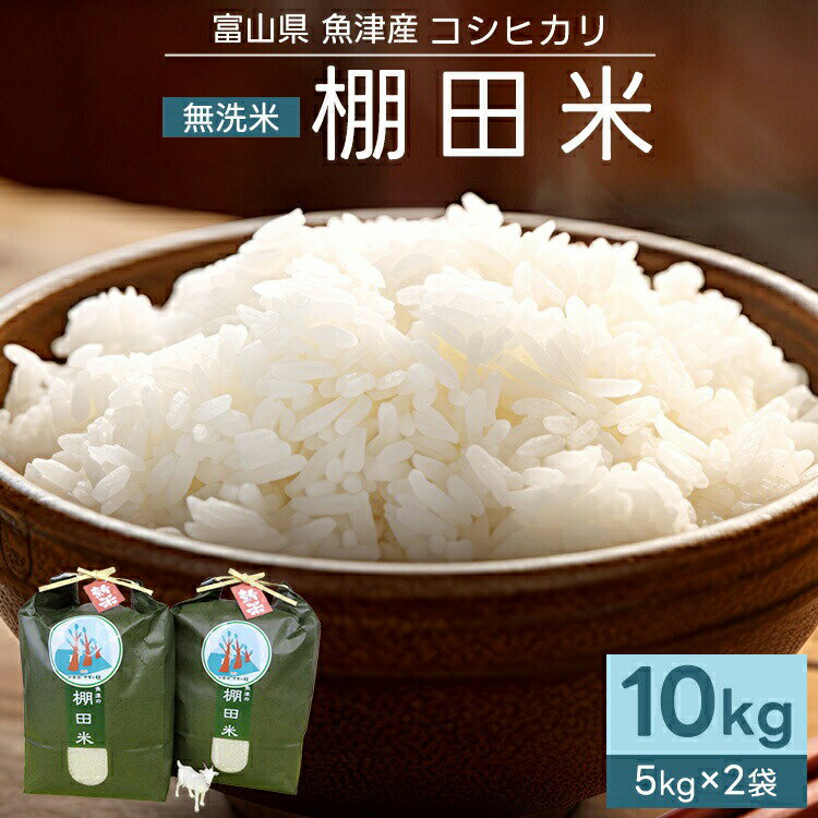 楽天市場】富山 県 産 コシヒカリ 無洗米の通販