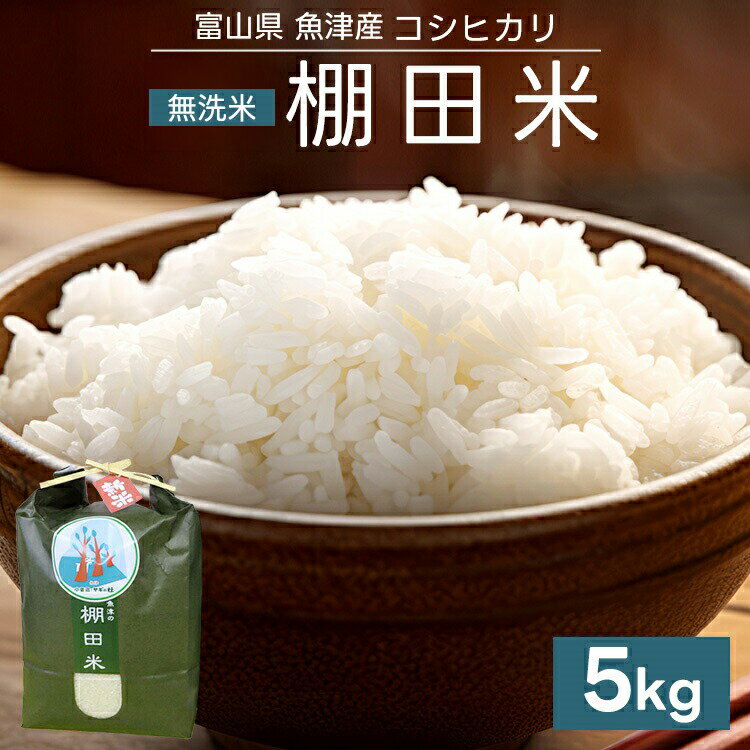 【ふるさと納税】【早期予約】米 令和7年産 コシヒカリ 5kg 無洗米 棚田米 ヤギの杜|富山 こめ コメ お米 おこめ 白米 精米 新米 ※北海道・沖縄・離島への配送不可 ※2025年10月上旬頃より順次発送予定