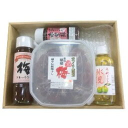 【ふるさと納税】梅干　4点セット　【発酵食品】