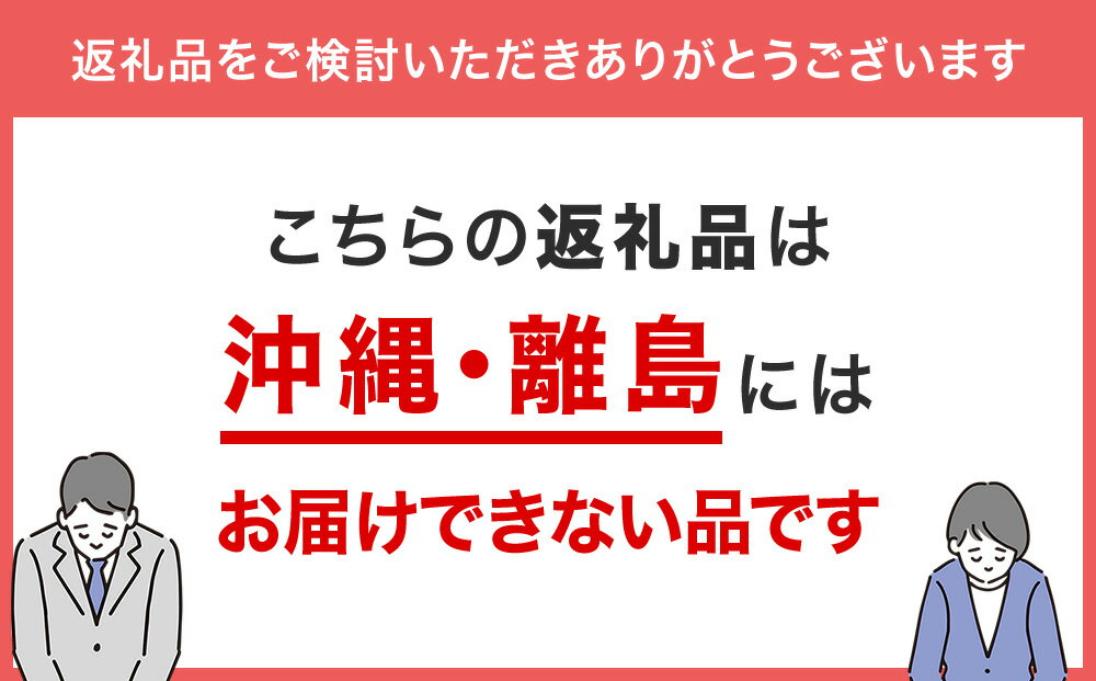 【ふるさと納税】【3回 定期便】氷見の海の幸詰合せセット ＜のどぐろ・氷見ぶり・ほたるいか・白えび入り＞ 富山県 氷見市 一夜干し 干物 カマス アジ 昆布締め