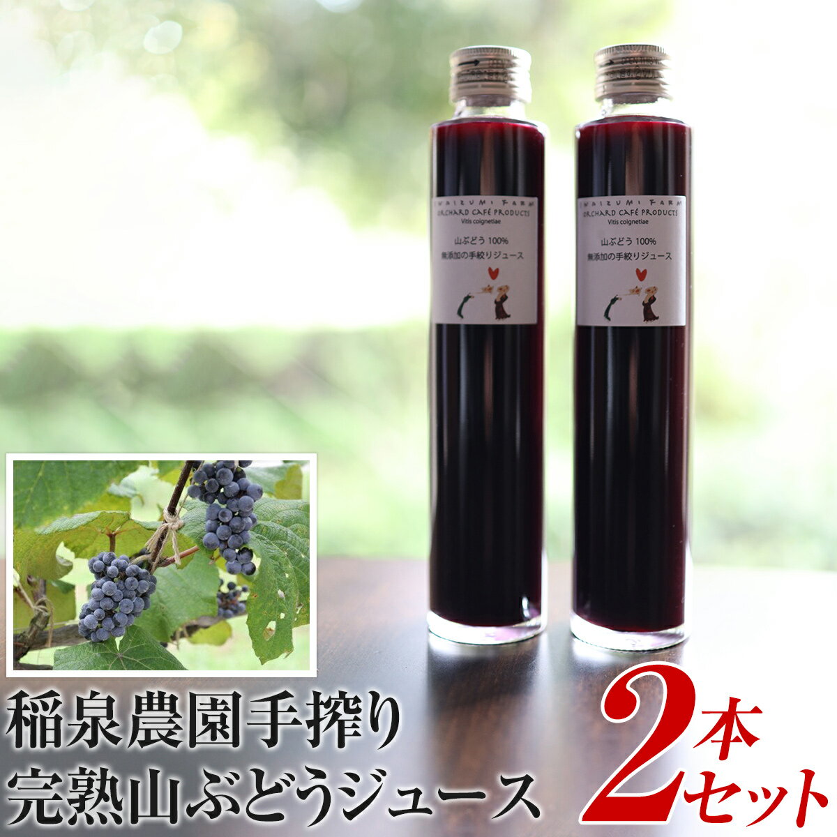 稲泉農園の手搾り完熟山ぶどうジュース2本セット　【果汁飲料・野菜飲料・ぶどうジュース・ブドウ】