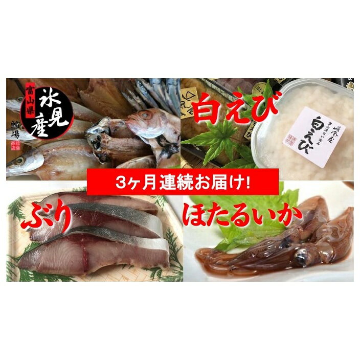 【ふるさと納税】【3回 定期便】《のどぐろ・白エビ・ぶり・ホタルイカ入り！》氷見産お勧め一夜干し詰め合わせ 富山県 氷見市 干物 セット 定期便のサムネイル