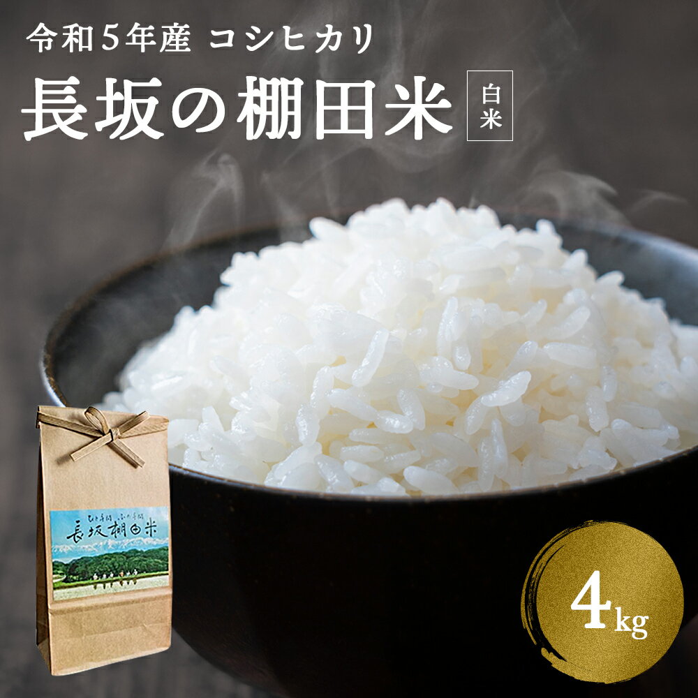 【ふるさと納税】令和4年産富山県産コシヒカリ長坂の棚田米4kg 富山県 氷見市 こし...