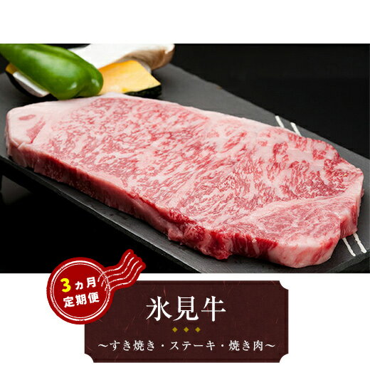 氷見牛 3ヶ月連続お届け [定期便・牛肉・お肉]