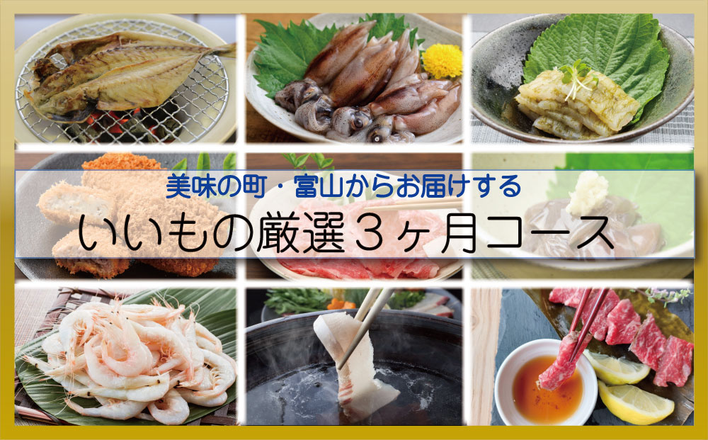 14位! 口コミ数「0件」評価「0」 〈3ヶ月定期便〉美味の町・富山からお届けする！いいもの厳選3ヶ月コース 富山県 氷見市 定期便 魚 肉 惣菜 加工品 セット