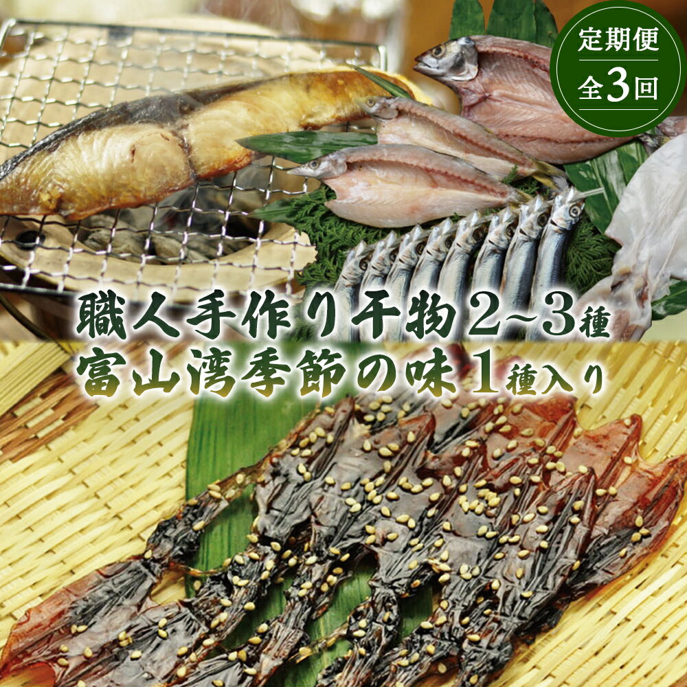 【ふるさと納税】 【年間3回定期便】職人手作り地魚一夜干真空パックと富山湾季節の味(氷見ぶり、ホタルイカ、みりん干） 富山県 氷見市 定期便 魚 貝類 干物 海老 エビ 味醂 干し