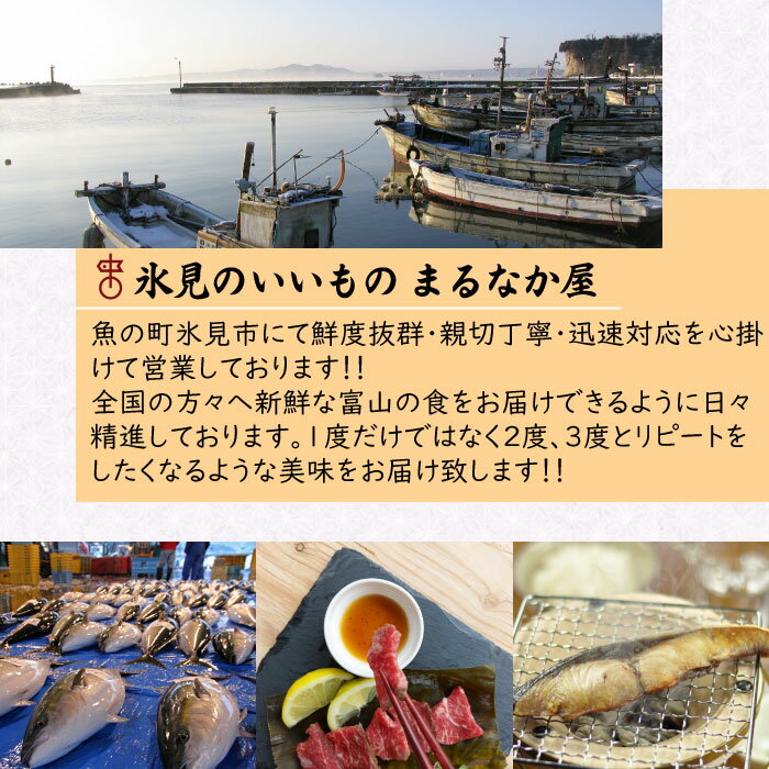 【ふるさと納税】氷見産厳選一夜干し旬の詰合せ　【魚貝類・干物】