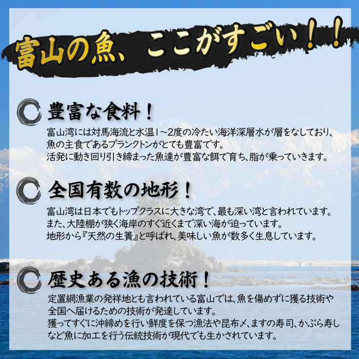 【ふるさと納税】年間3回定期便！『ホタルイカ』『白えび』『氷見ぶり』季節の味と熟練職人手捌きの一夜干　【定期便・魚貝類・干物・海老・エビ】