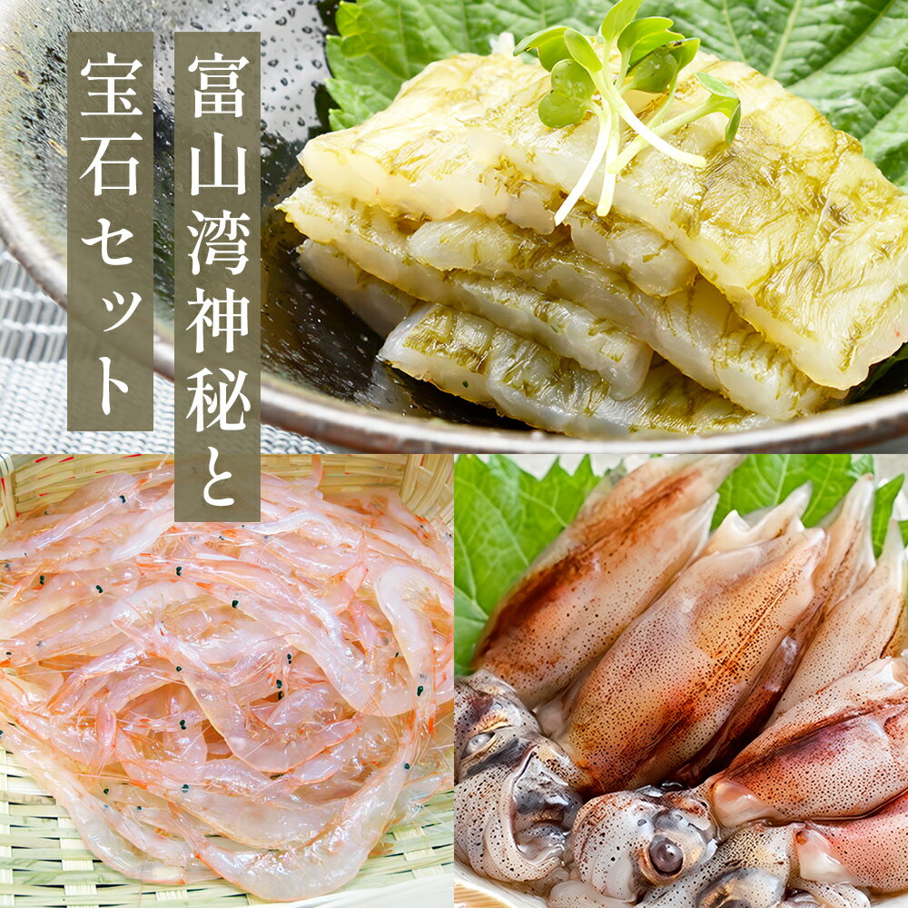 [お中元対応受付中] 富山湾の神秘"ほたるいか"と富山湾の宝石"白エビ"セット[冷凍]
