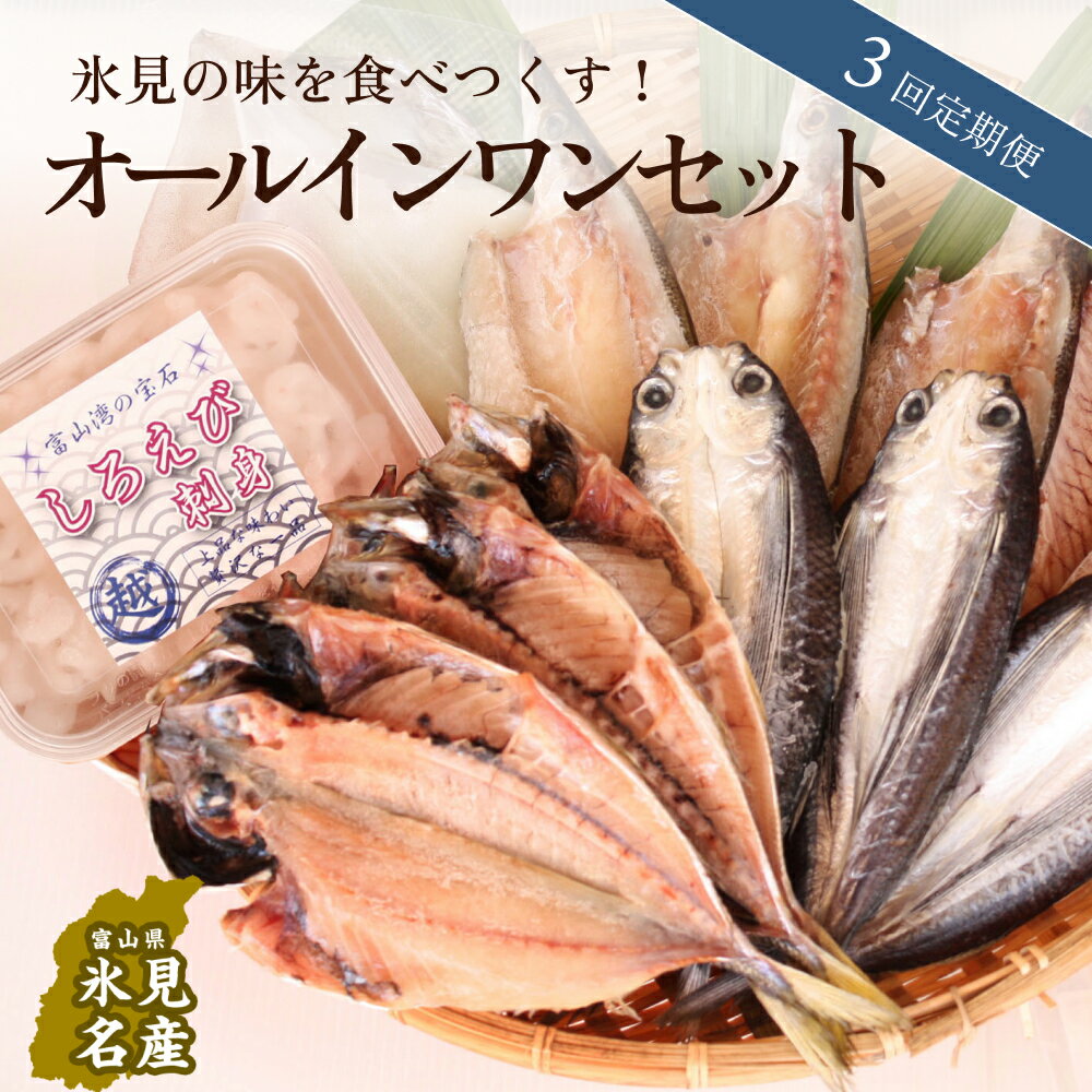 2位! 口コミ数「0件」評価「0」【3回定期便】氷見の味を食べつくす！オールインワンセット うどん カレー 富山県 氷見市 魚 魚介 ブリ ホタルイカ エビ 加工品 詰め合わ･･･ 