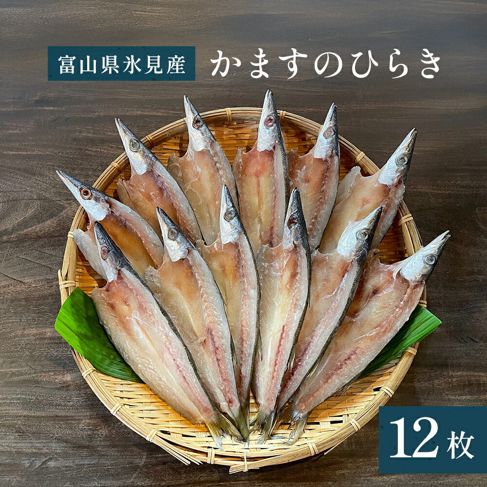 氷見産かますのひらき12枚セット 氷見堀与 干物 かます 魚介類 富山県 氷見市