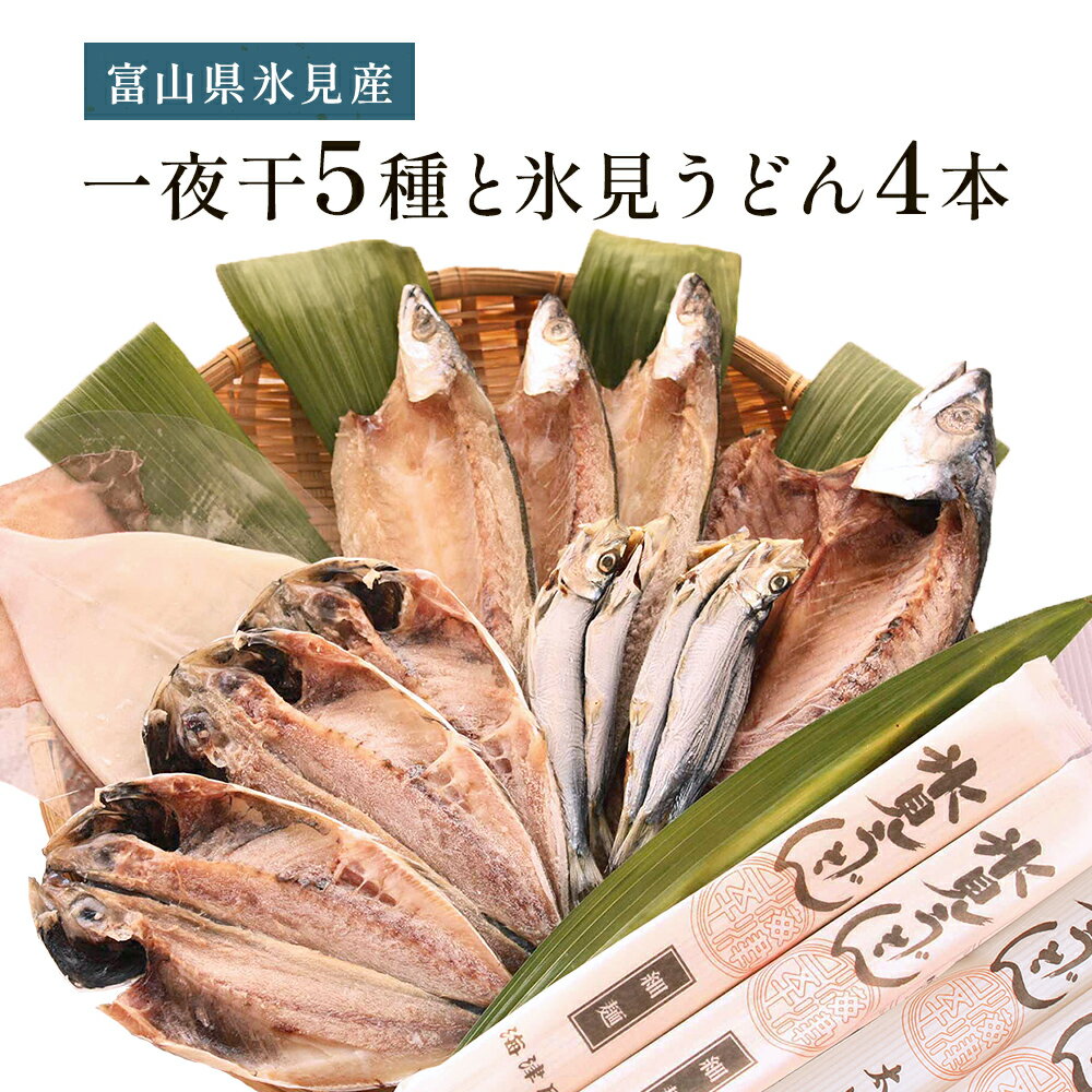 【ふるさと納税】氷見 堀与おすすめ一夜干5種と氷見うどん4本