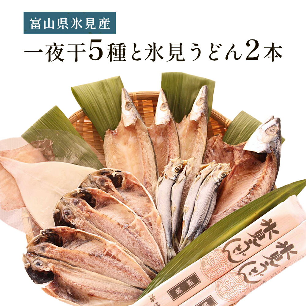 氷見 堀与おすすめ一夜干5種と氷見うどん2本 富山県 氷見市 干物 詰め合わせ 食べ比べ セット うどん