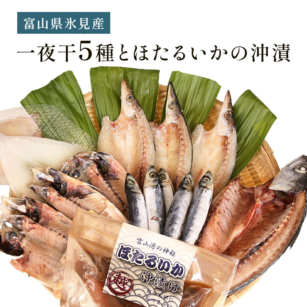 氷見 堀与 一夜干5種とほたるいかの沖漬 富山県 氷見市 干物 詰め合わせ 食べ比べ セット ホタルイカ