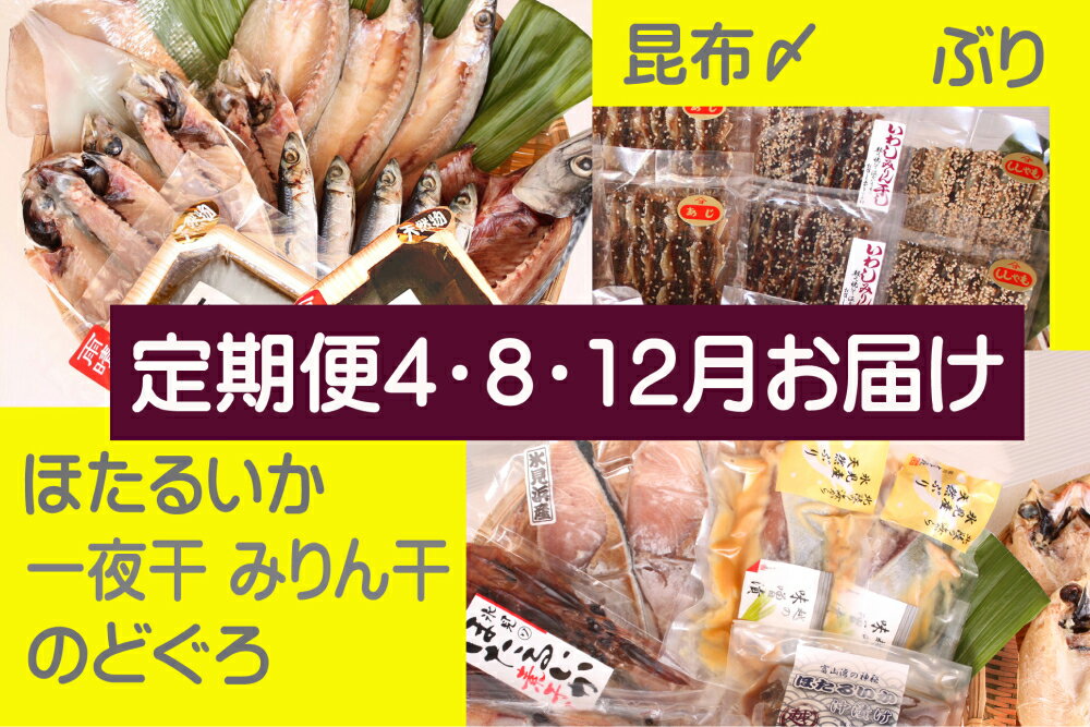 [年3回定期便]氷見堀与季節の干物・海産物 [氷見ぶり、昆布〆刺身、蛍いか、のどぐろ入]