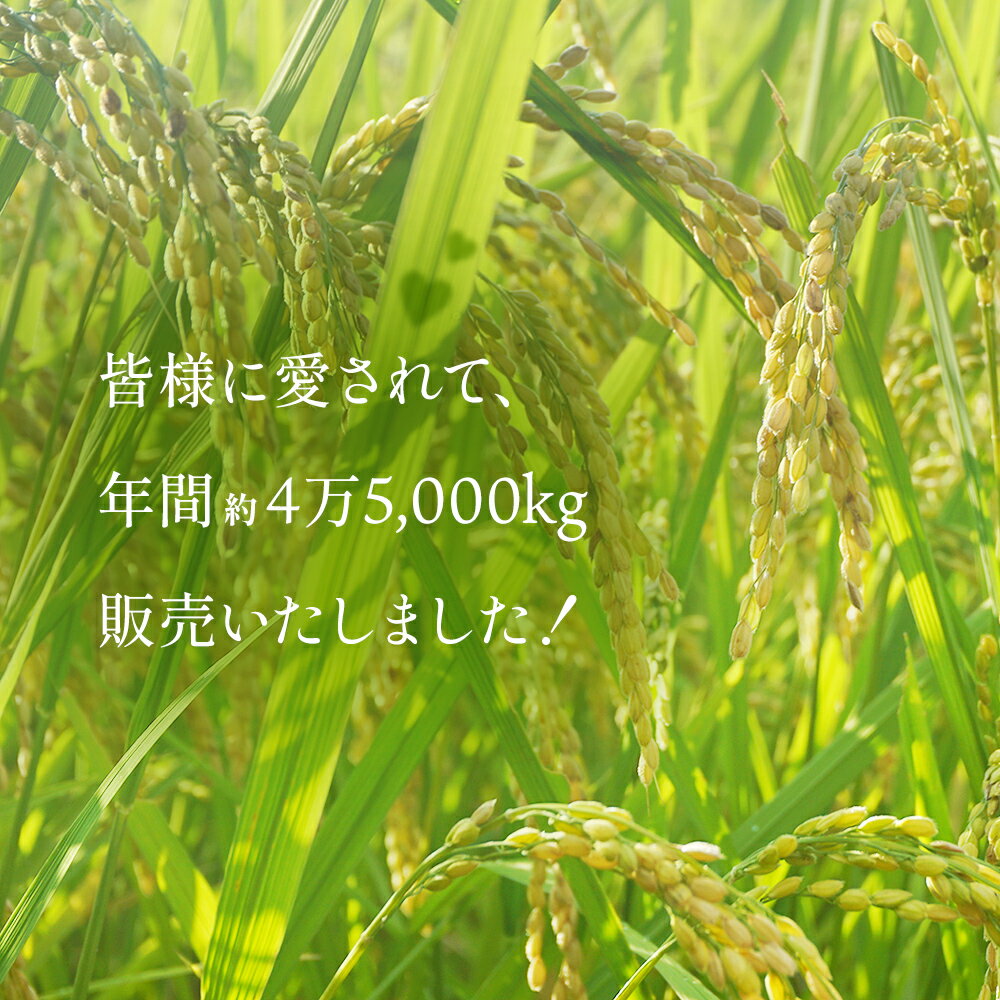 【ふるさと納税】＜3ヶ月定期便＞ 令和5年産 富山県産 コシヒカリ 《寿》 5kg 富山県 氷見市 米 こしひかり 5kg 定期便