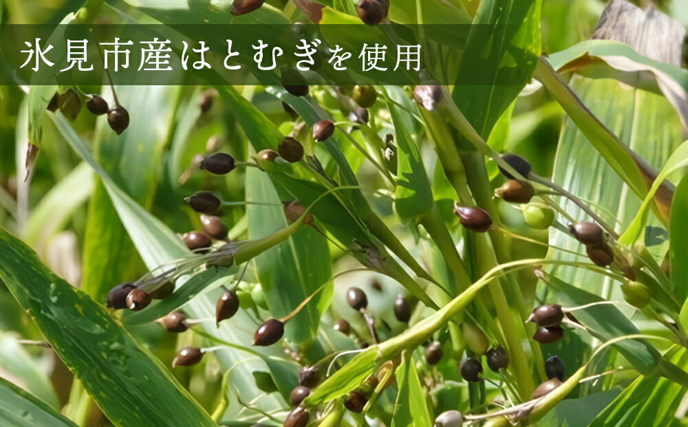 【ふるさと納税】氷見はとむぎ茶　焙煎茶120g（10g×12包）×6袋 | ハトムギ茶 無添加 パック ティーバッグ 小分け 氷見産 国産 ノンカフェイン ハトムギ