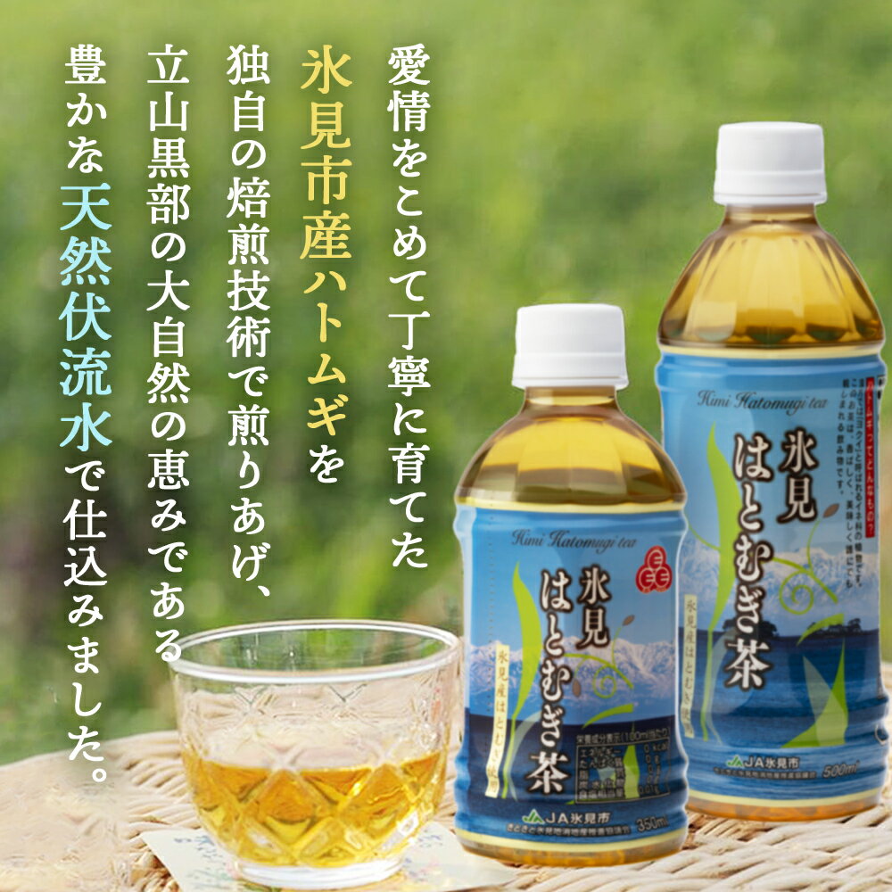 【ふるさと納税】【3回定期便】氷見はとむぎ茶 ペットボトル 350ml×24本 富山県 氷見市 ハトムギ 茶 飲料 国産