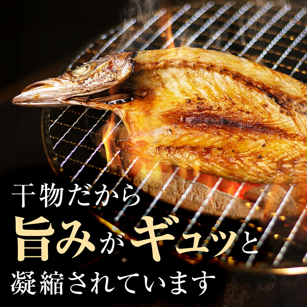 【ふるさと納税】 きときと特選一夜干し4種詰合せ《かます・あじ・いわし・するめいか》