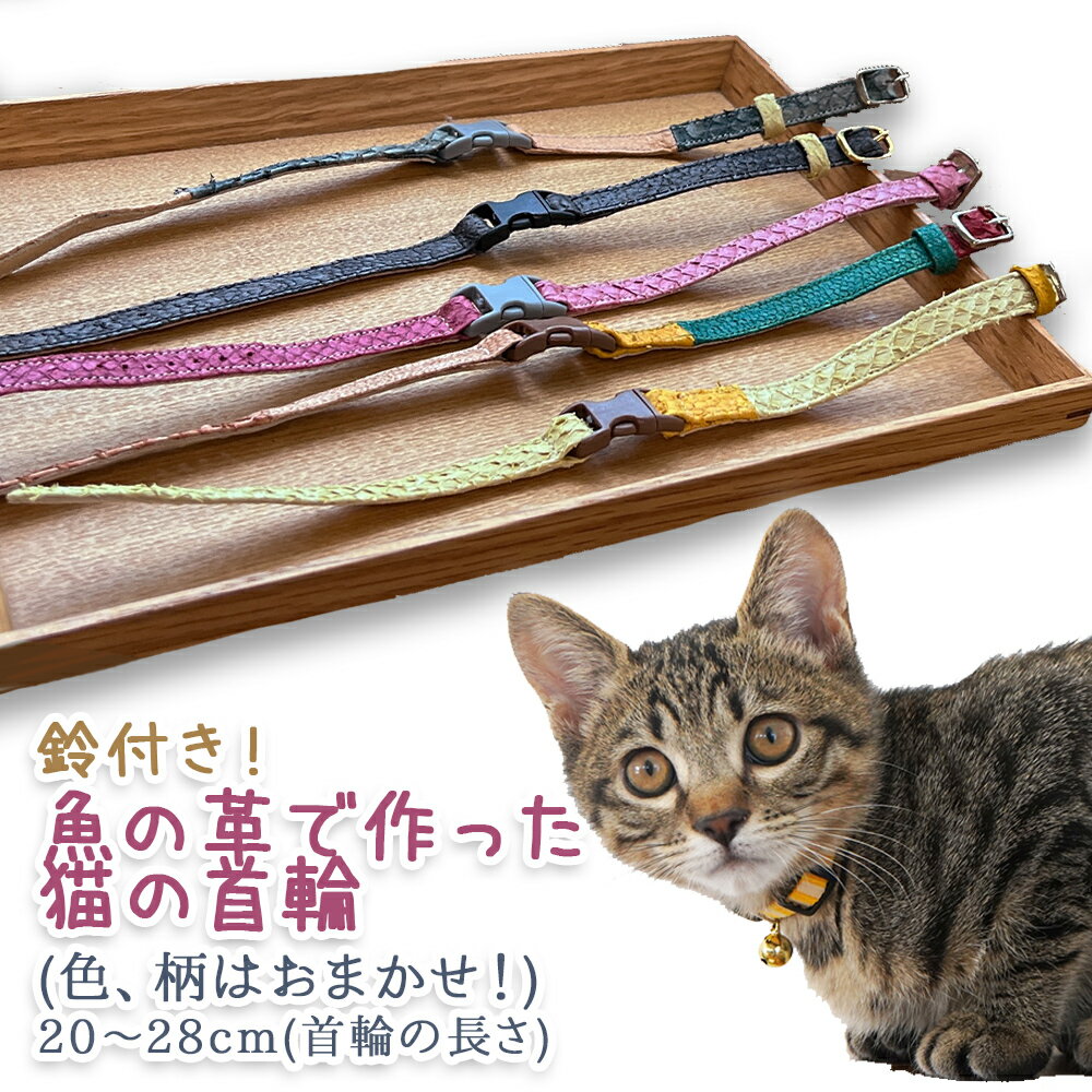 17位! 口コミ数「0件」評価「0」 鈴付き！魚の革で作った猫の首輪（色、柄はおまかせ！） 富山県 氷見市 革 加工品 猫 くびわ 20 cm ～ 28 cm