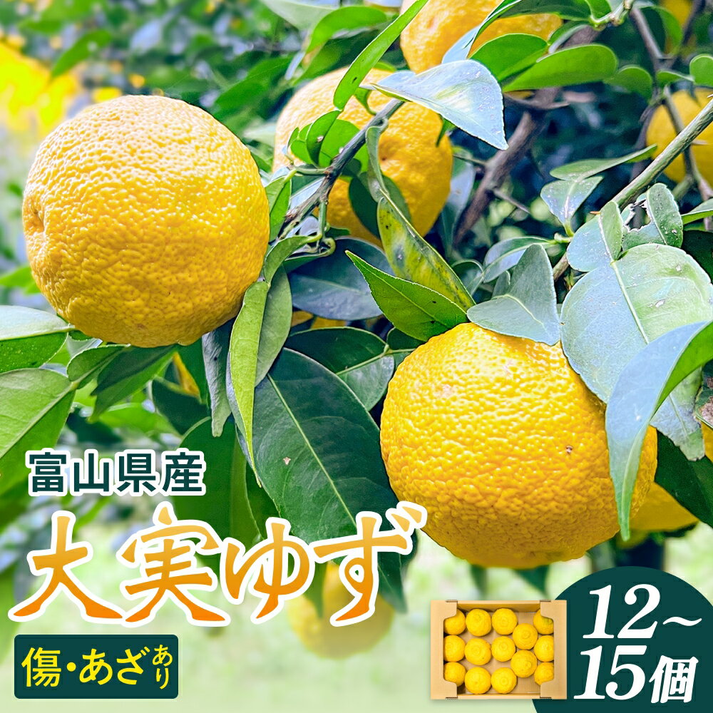 富山県産 大実ゆず 12個-15個 ゆず 柚子 果物 フルーツ 国産 富山県 氷見市