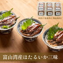 【ふるさと納税】 富山湾産ほたるいか三味(沖漬け/塩こうじ/醤油こうじ)各3個〈冷凍〉