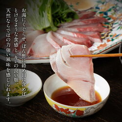 【ふるさと納税】 【天然寒鰤】 松本魚問屋 ひみ寒ぶりしゃぶ 400g 老舗魚問屋 こだわりの一品 ！ ぶりしゃぶ 鰤 しゃぶしゃぶ 国産 寒ぶり 手仕込み 天然 ブリ 寒ブリ 数量限定　氷見寒ブリ お取り寄せ ひみ寒ぶりしゃぶ･･･ 画像2