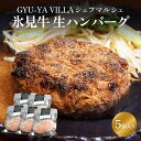 【ふるさと納税】GYU-YA VILLA シェフマルシェ 氷見牛 生ハンバーグ(5個入り)〈冷凍〉