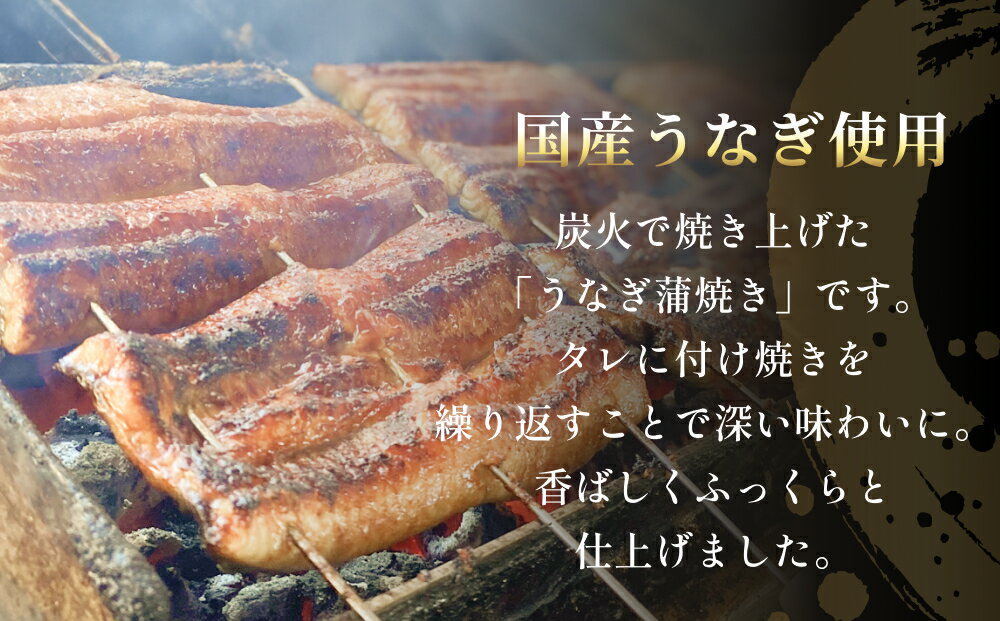 【ふるさと納税】【訳あり】うなぎ蒲焼（ハーフカット・2-4枚入り） | 不揃い 簡易包装 国産 炭火 冷凍