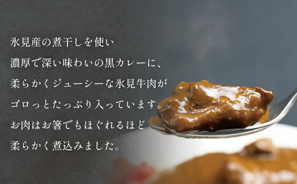 【ふるさと納税】氷見牛カレー（レトルト） 1-10箱 富山県 氷見市 カレー 湯煎 惣菜