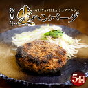 【ふるさと納税】GYU-YA VILLA シェフマルシェ 氷見牛 生ハンバーグ(5個入り)〈冷凍〉