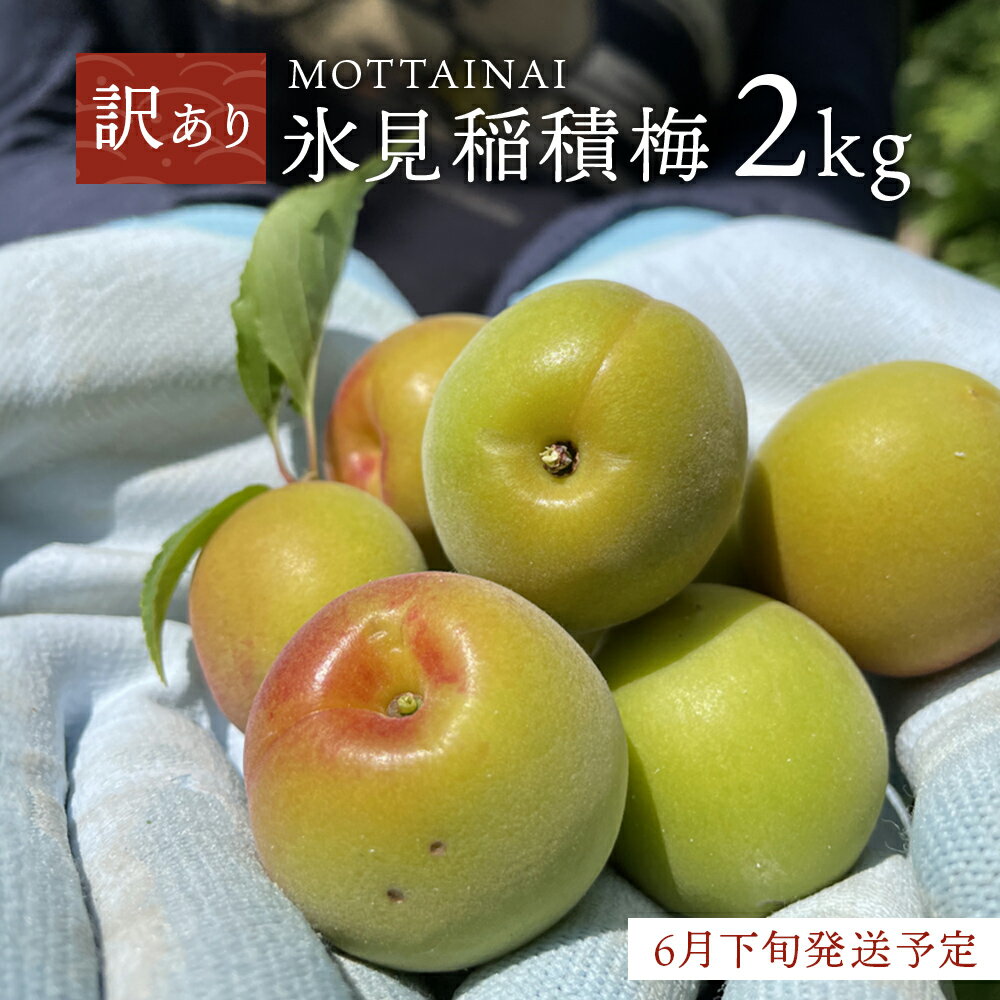 【ふるさと納税】【訳あり】【先行予約】MOTTAINAI 氷見稲積梅 2kg ＜6月下旬発送予定＞ | 富山県 氷見市 固定種 稲積梅 梅 梅干し キット 手作り 果実 レシピ 青梅 果物 訳アリ 完熟梅 梅干し…