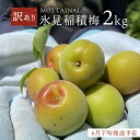 15位! 口コミ数「0件」評価「0」【訳あり】【先行予約】MOTTAINAI 氷見稲積梅 2kg ＜6月下旬発送予定＞ 富山県 氷見市 青梅 果物 訳アリ