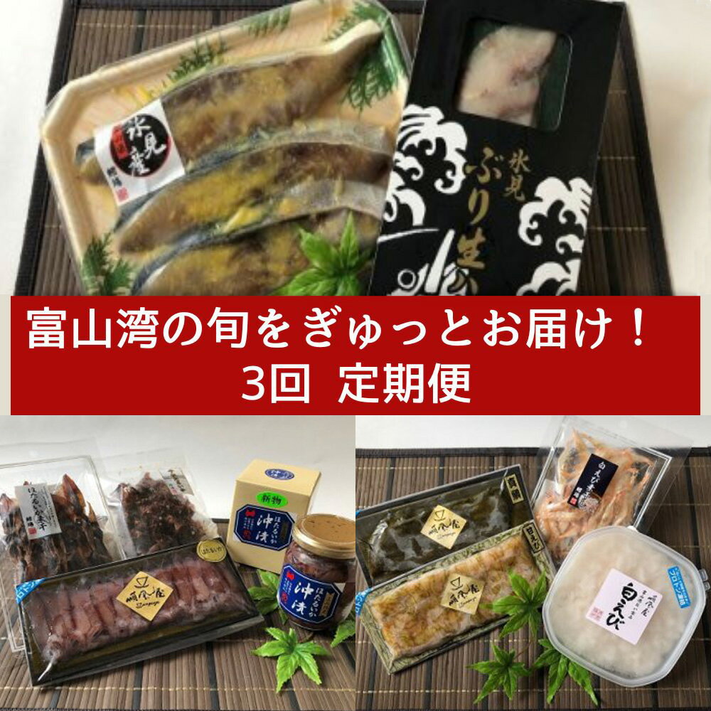 【ふるさと納税】【3回定期便】富山湾の旬を食す！「氷見ぶり・白えび・ほたるいか」(1・3・5月発送）　【定期便・魚貝類・干物・加工食品・魚介類・ぶり・白えび・ほたるいか】のサムネイル
