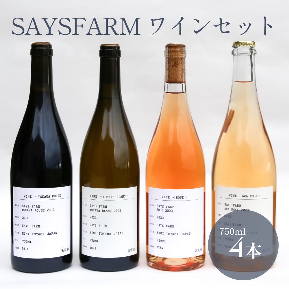 【ふるさと納税】【先行予約】 SAYSFARM ワインセット ＜2025年3月以降順次発送＞富山県 氷見市 ワイン ギフト 飲み比べ 国産ワイン ロゼワイン ビンテージワイン 日本ワイン 4本 セットのサムネイル
