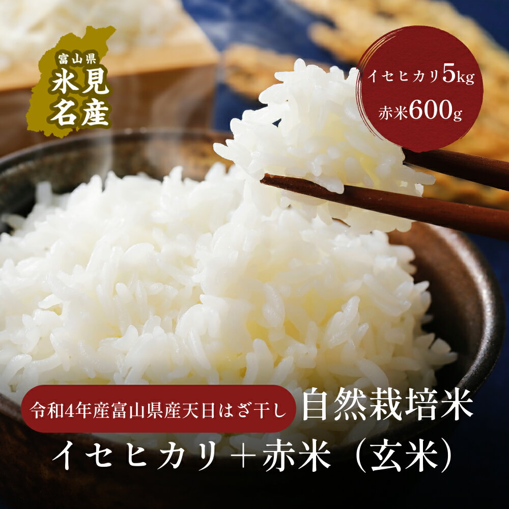 【ふるさと納税】＜玄米＞令和4年産 富山県産 天日はざ干し 自然栽培米 イセヒカリ5kg+赤米600g 富山県 氷見市 イセヒカリ いせひかり 赤米 セットのサムネイル