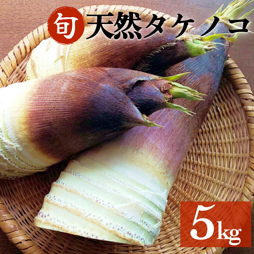 楽天市場】たけのこ（総重量（野菜）5.0 ～ 5.9kg）の通販